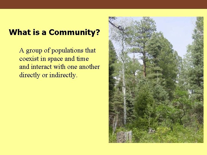 What is a Community? A group of populations that coexist in space and time
