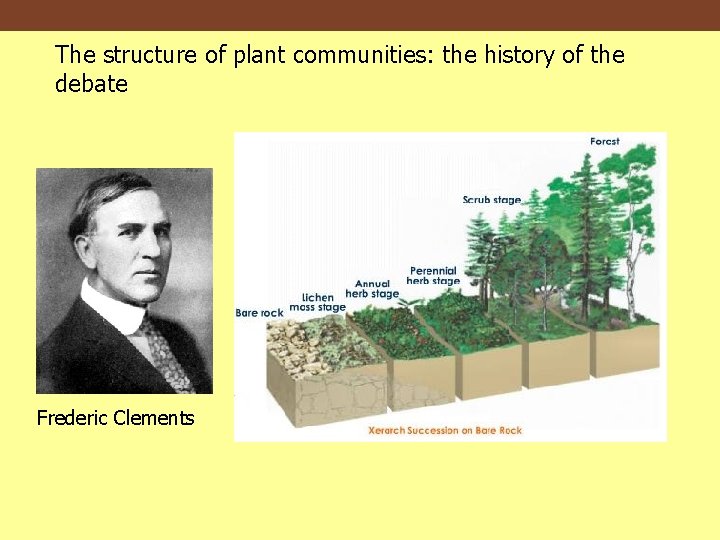 The structure of plant communities: the history of the debate Frederic Clements 