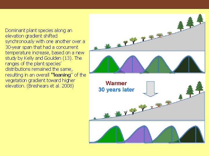 Dominant plant species along an elevation gradient shifted synchronously with one another over a