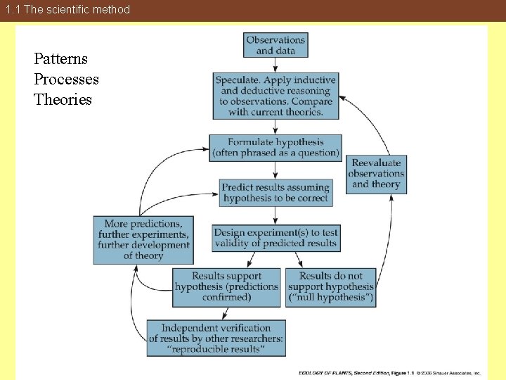1. 1 The scientific method Patterns Processes Theories 