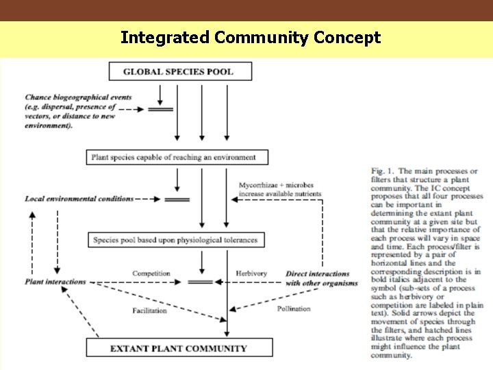 Integrated Community Concept 