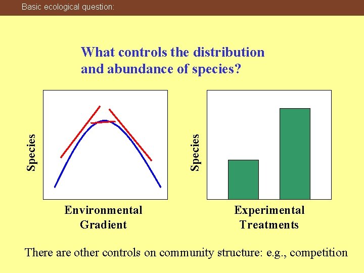 Basic ecological question: Species What controls the distribution and abundance of species? Environmental Gradient