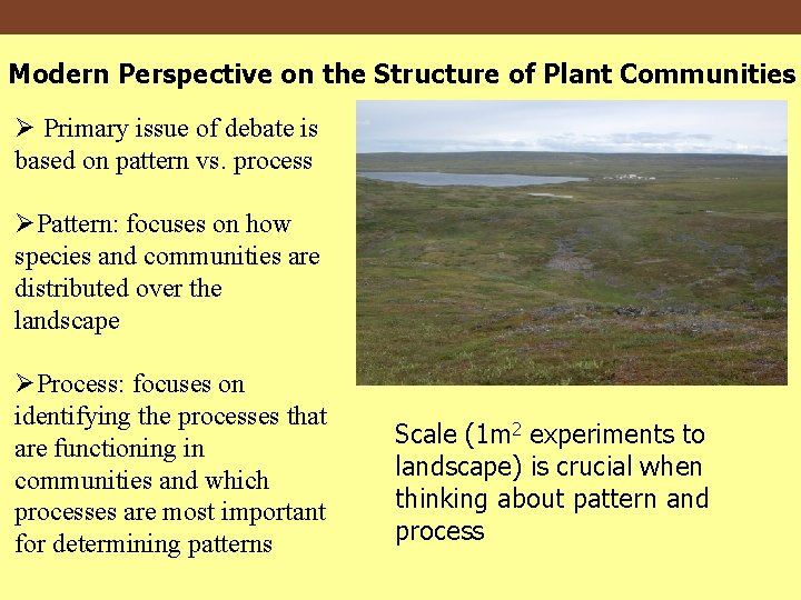 Modern Perspective on the Structure of Plant Communities Ø Primary issue of debate is