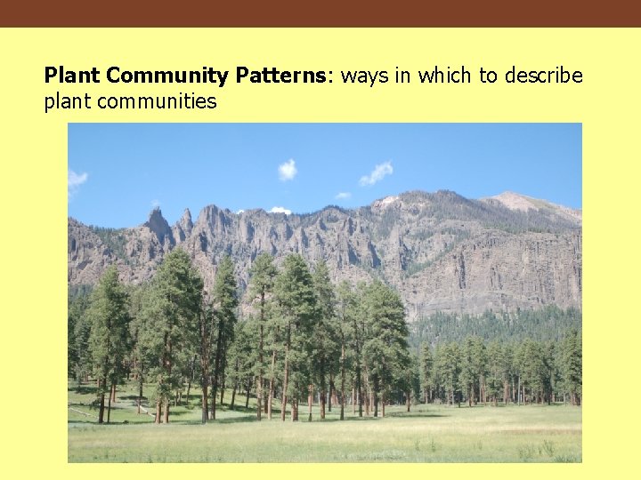 Plant Community Patterns: ways in which to describe plant communities 
