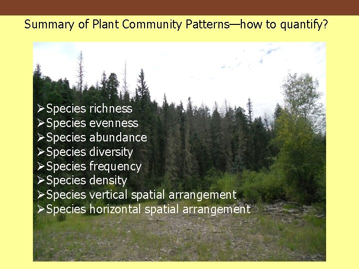 Summary of Plant Community Patterns—how to quantify? ØSpecies ØSpecies richness evenness abundance diversity frequency
