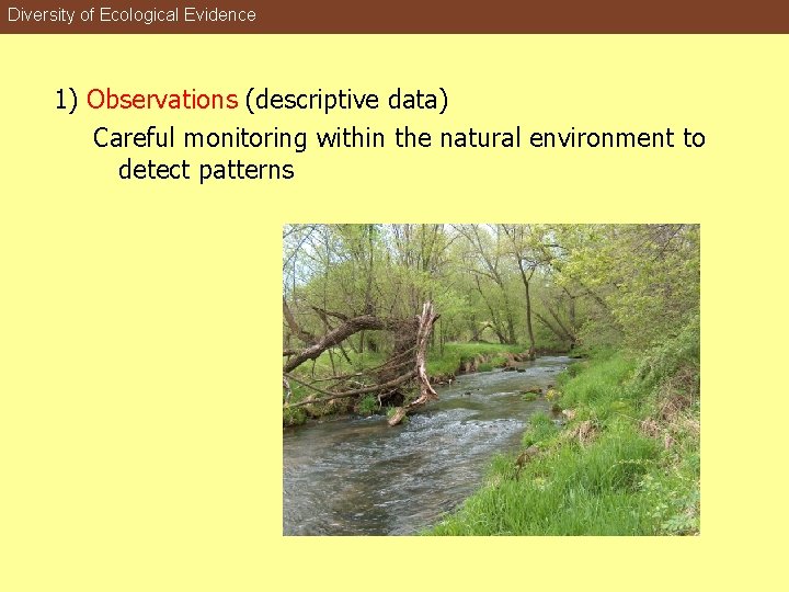 Diversity of Ecological Evidence 1) Observations (descriptive data) Careful monitoring within the natural environment