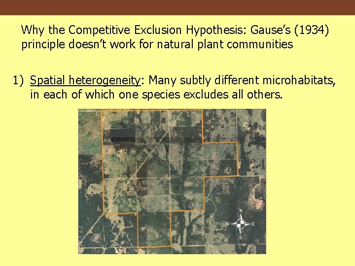 Why the Competitive Exclusion Hypothesis: Gause’s (1934) principle doesn’t work for natural plant communities