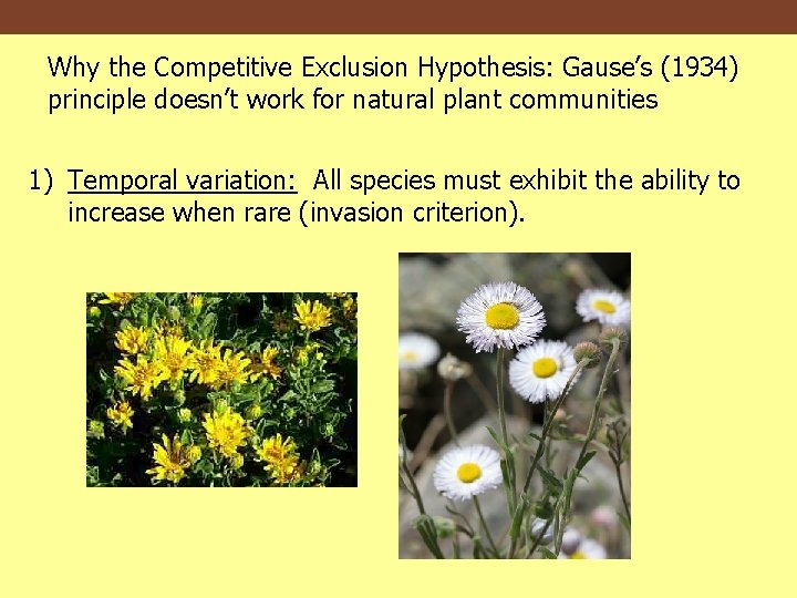 Why the Competitive Exclusion Hypothesis: Gause’s (1934) principle doesn’t work for natural plant communities