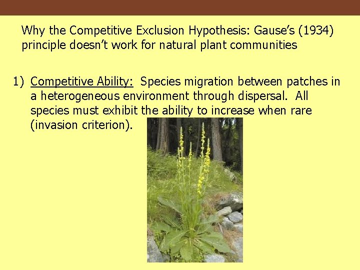 Why the Competitive Exclusion Hypothesis: Gause’s (1934) principle doesn’t work for natural plant communities