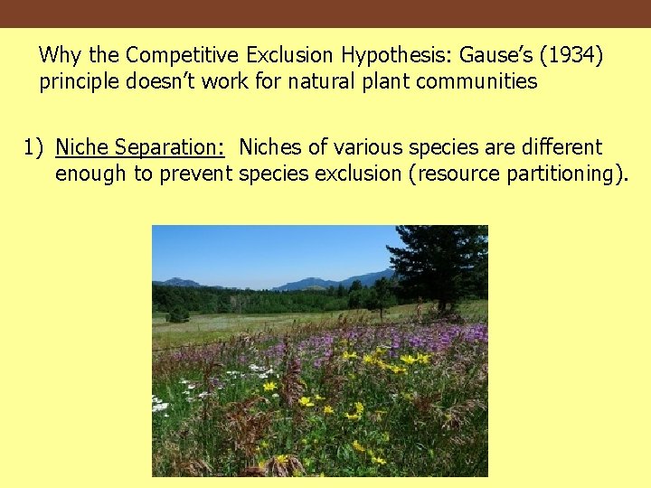 Why the Competitive Exclusion Hypothesis: Gause’s (1934) principle doesn’t work for natural plant communities