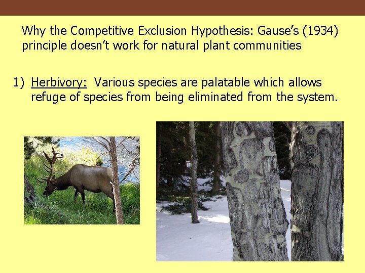 Why the Competitive Exclusion Hypothesis: Gause’s (1934) principle doesn’t work for natural plant communities