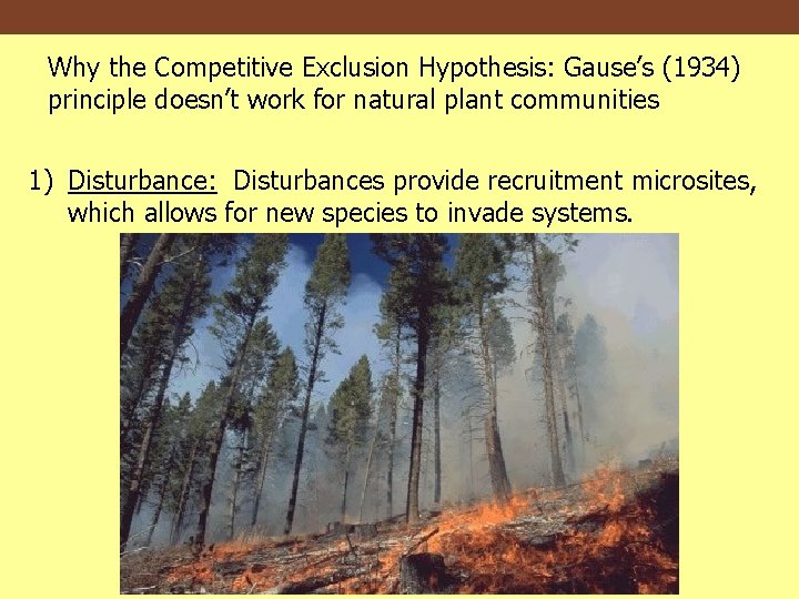 Why the Competitive Exclusion Hypothesis: Gause’s (1934) principle doesn’t work for natural plant communities