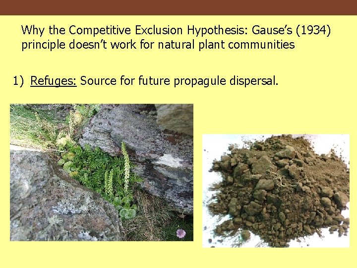 Why the Competitive Exclusion Hypothesis: Gause’s (1934) principle doesn’t work for natural plant communities