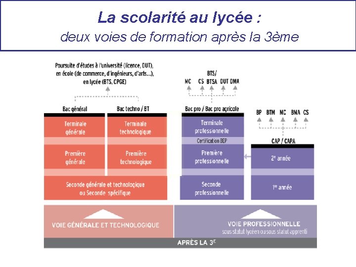 La scolarité au lycée : deux voies de formation après la 3ème 