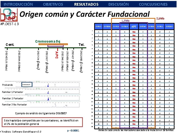 INTRODUCCIÓN OBJETIVOS RESULTADOS DISCUSIÓN CONCLUSIONES Origen común y Carácter Fundacional #P. DEST-13 1 2 INTRODUCCIÓN OBJETIVOS RESULTADOS DISCUSIÓN CONCLUSIONES Origen común y Carácter Fundacional #P. DEST-13 1 2