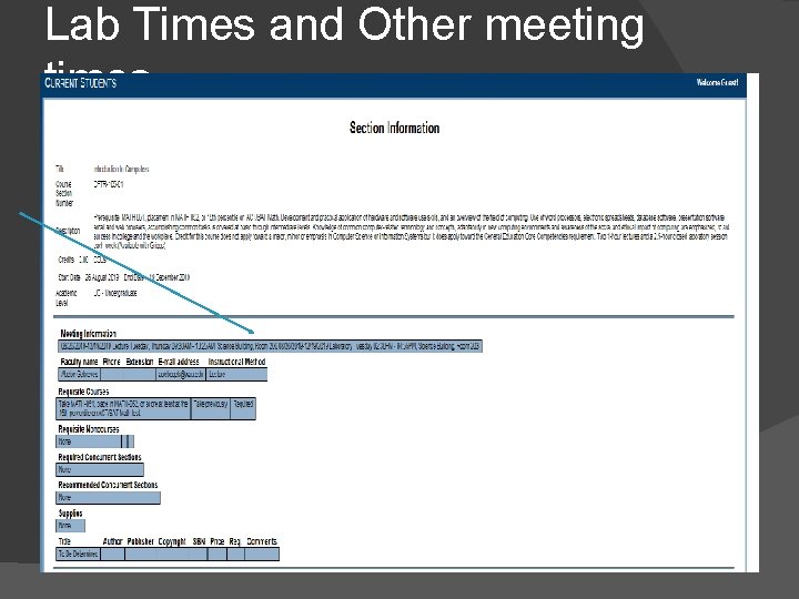 Lab Times and Other meeting times 