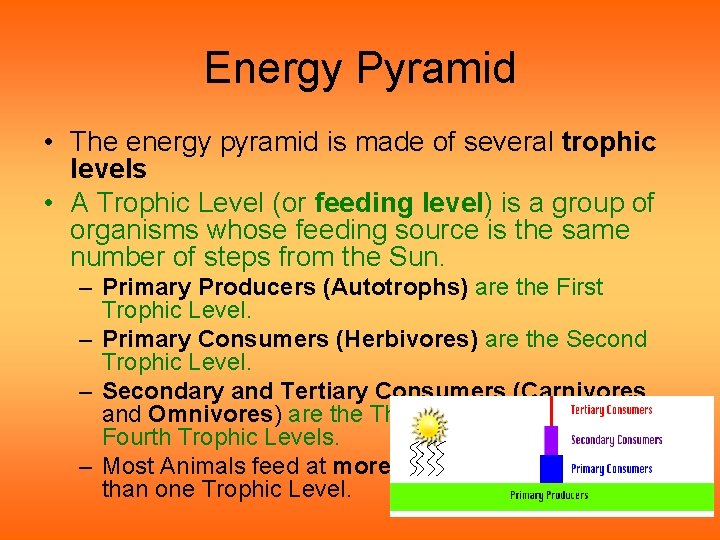 Energy Pyramid • The energy pyramid is made of several trophic levels • A Energy Pyramid • The energy pyramid is made of several trophic levels • A