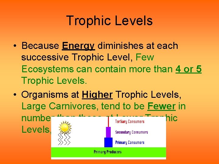 Trophic Levels • Because Energy diminishes at each successive Trophic Level, Few Ecosystems can Trophic Levels • Because Energy diminishes at each successive Trophic Level, Few Ecosystems can