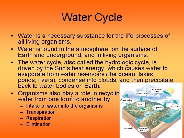 Water Cycle • Water is a necessary substance for the life processes of all Water Cycle • Water is a necessary substance for the life processes of all