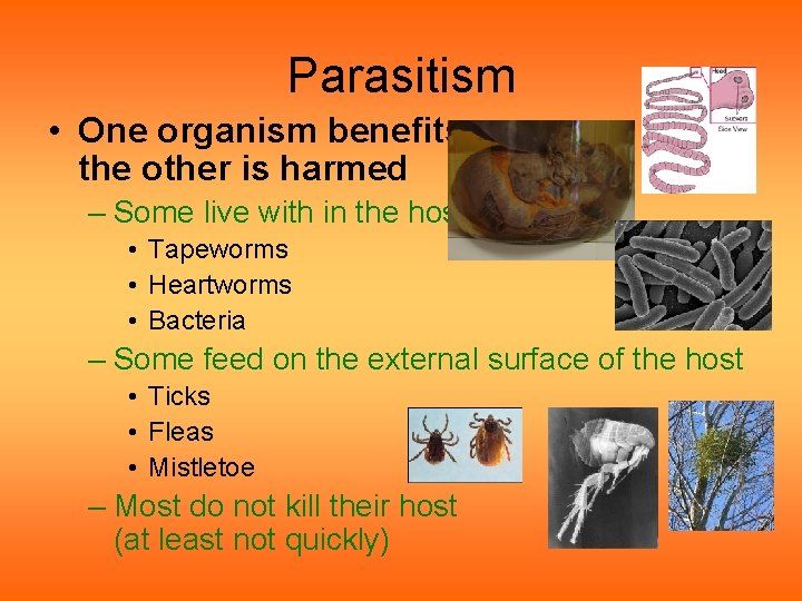 Parasitism • One organism benefits, the other is harmed – Some live with in Parasitism • One organism benefits, the other is harmed – Some live with in