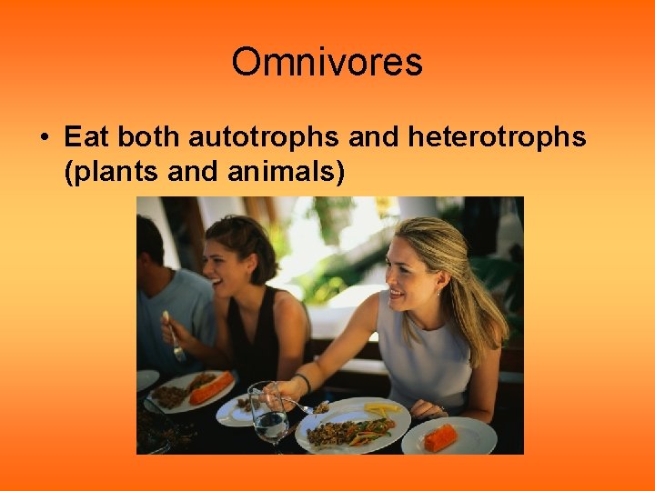 Omnivores • Eat both autotrophs and heterotrophs (plants and animals) Omnivores • Eat both autotrophs and heterotrophs (plants and animals)