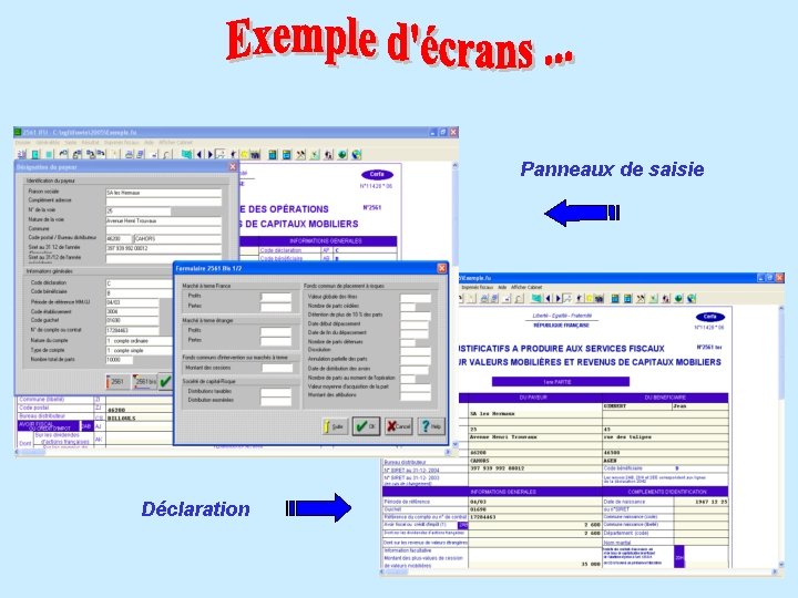 Panneaux de saisie Déclaration 