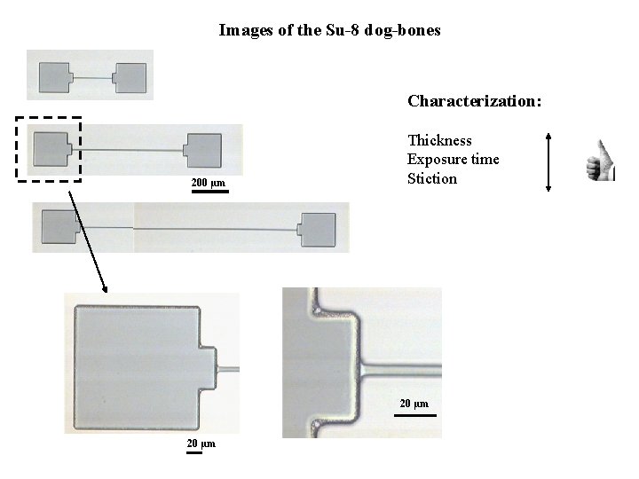 Images of the Su-8 dog-bones Characterization: 200 µm Thickness Exposure time Stiction 20 µm