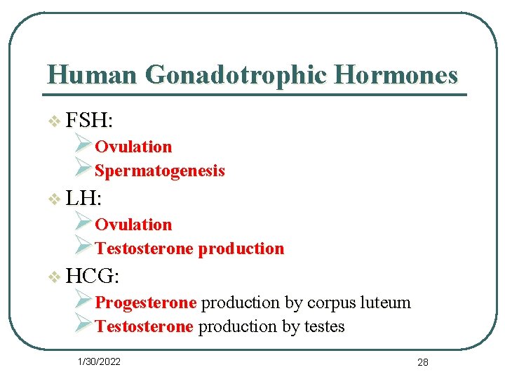 Human Gonadotrophic Hormones v FSH: ØOvulation ØSpermatogenesis v LH: ØOvulation ØTestosterone production v HCG: