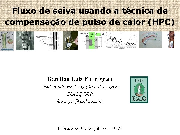 Fluxo de seiva usando a técnica de compensação de pulso de calor (HPC) Danilton
