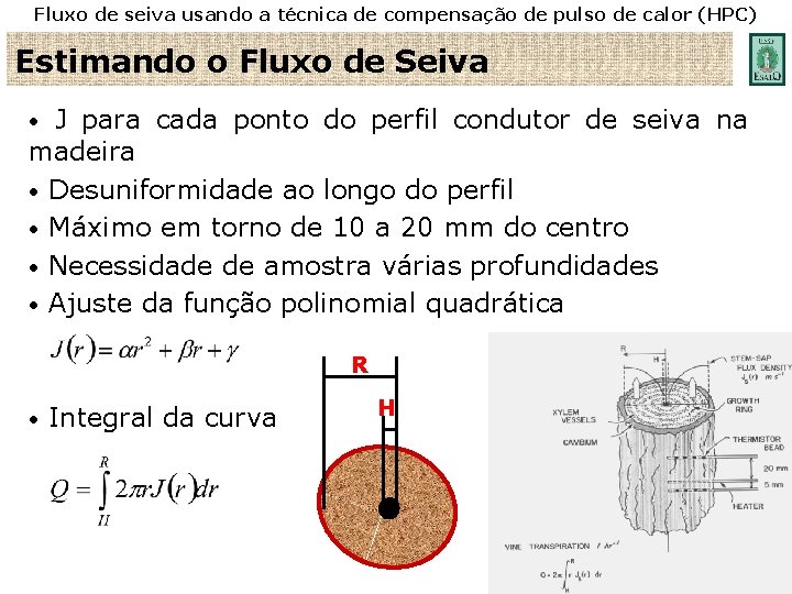 Fluxo de seiva usando a técnica de compensação de pulso de calor (HPC) Estimando