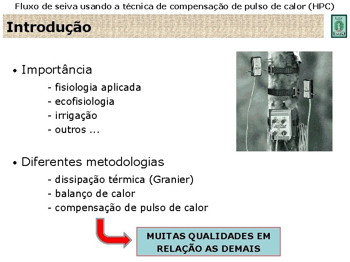 Fluxo de seiva usando a técnica de compensação de pulso de calor (HPC) Introdução