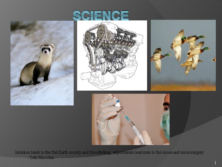 SCIENCE Intuition leads to the flat Earth society and bloodletting; experiments lead men to