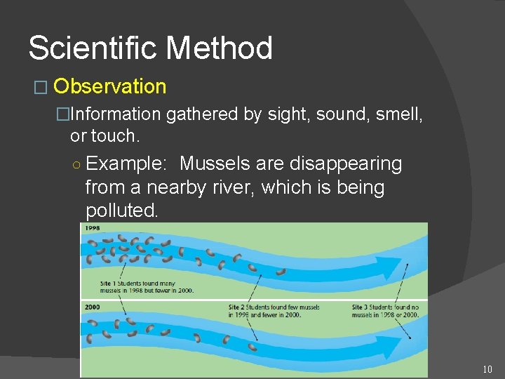 Scientific Method � Observation �Information gathered by sight, sound, smell, or touch. ○ Example: