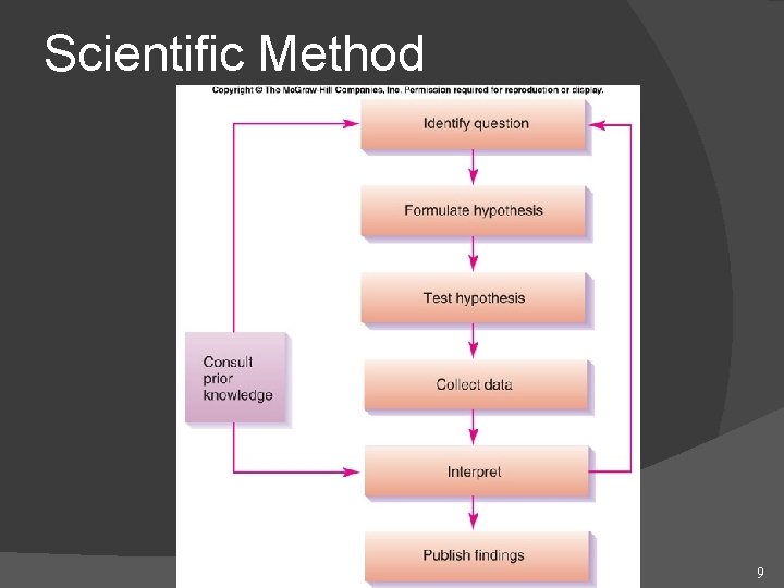 Scientific Method 9 