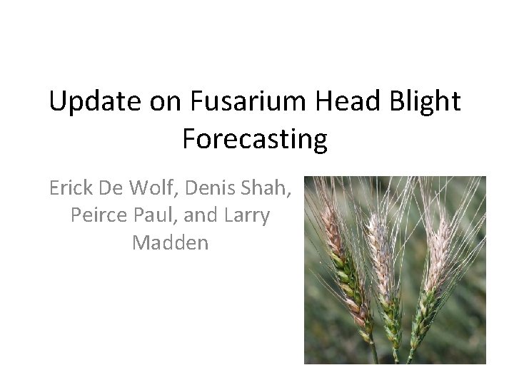 Update on Fusarium Head Blight Forecasting Erick De Wolf, Denis Shah, Peirce Paul, and