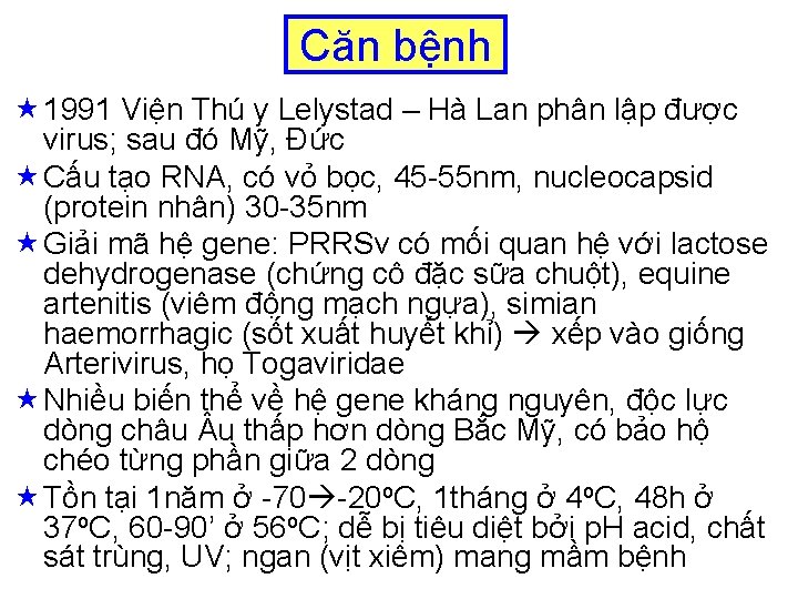 Căn bệnh « 1991 Viện Thú y Lelystad – Hà Lan phân lập được