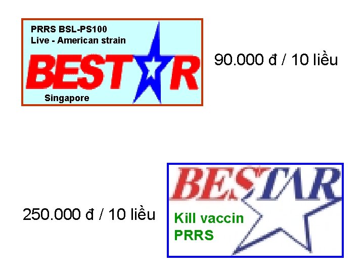 PRRS BSL-PS 100 Live - American strain 90. 000 đ / 10 liều Singapore