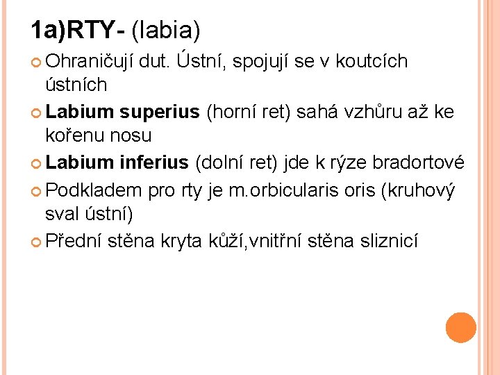 1 a)RTY- (labia) Ohraničují dut. Ústní, spojují se v koutcích ústních Labium superius (horní