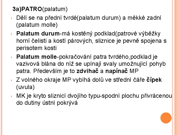 3 a)PATRO(palatum) • Dělí se na přední tvrdé(palatum durum) a měkké zadní (palatum molle)