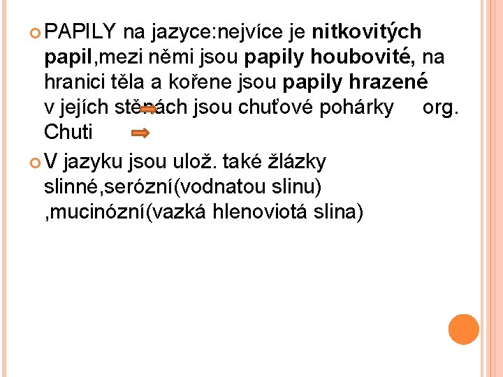  PAPILY na jazyce: nejvíce je nitkovitých papil, mezi němi jsou papily houbovité, na