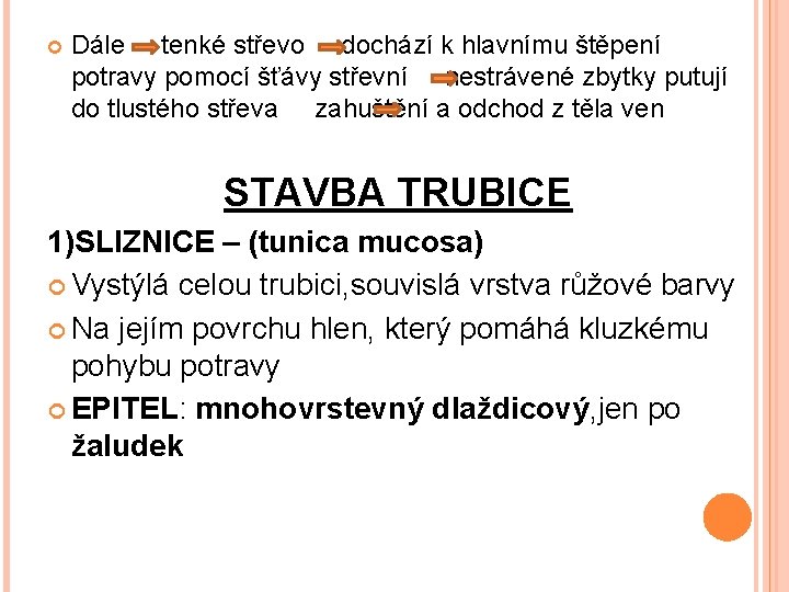  Dále tenké střevo dochází k hlavnímu štěpení potravy pomocí šťávy střevní nestrávené zbytky