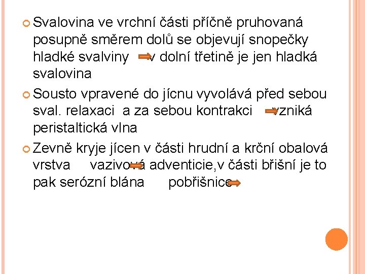  Svalovina ve vrchní části příčně pruhovaná posupně směrem dolů se objevují snopečky hladké