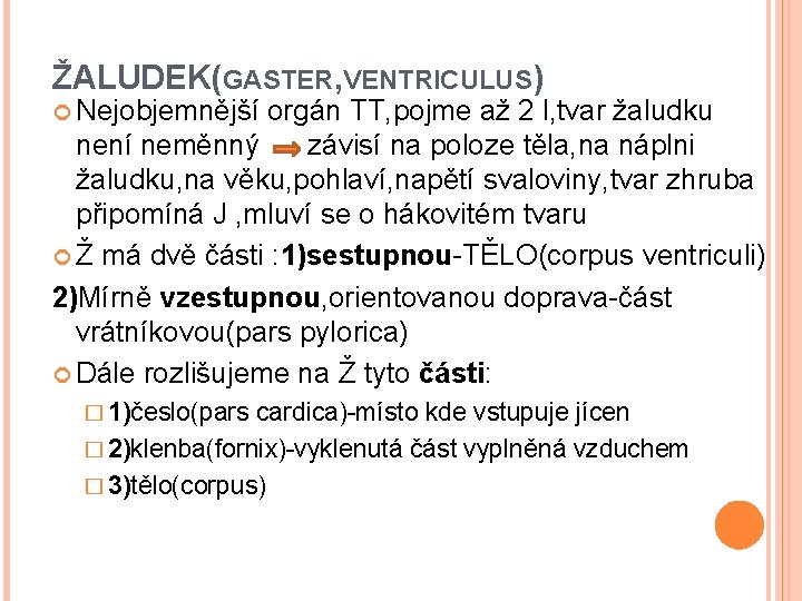 ŽALUDEK(GASTER, VENTRICULUS) Nejobjemnější orgán TT, pojme až 2 l, tvar žaludku není neměnný závisí