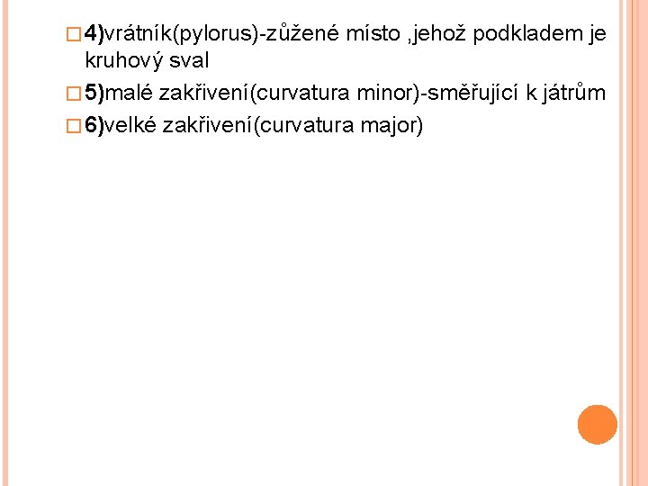 � 4)vrátník(pylorus)-zůžené místo , jehož podkladem je kruhový sval � 5)malé zakřivení(curvatura minor)-směřující k