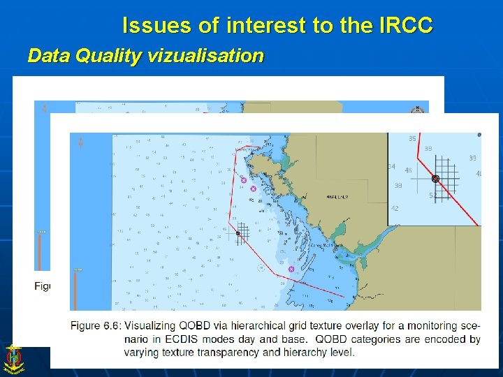Issues of interest to the IRCC Data Quality vizualisation 
