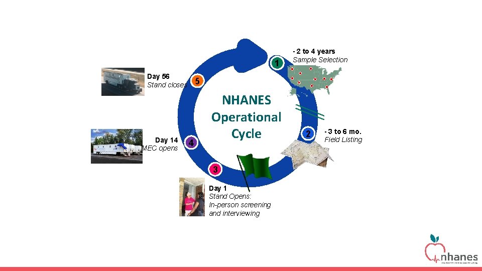1 Day 56 Stand closes Day 14 MEC opens - 2 to 4 years