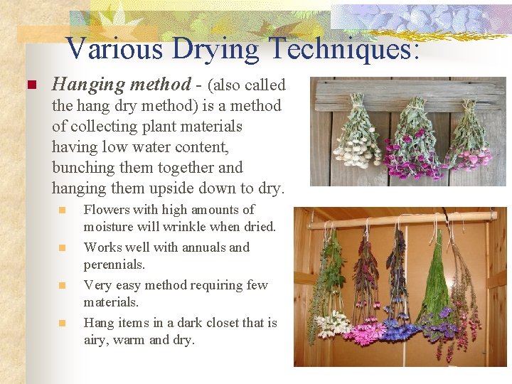 Various Drying Techniques: n Hanging method - (also called the hang dry method) is
