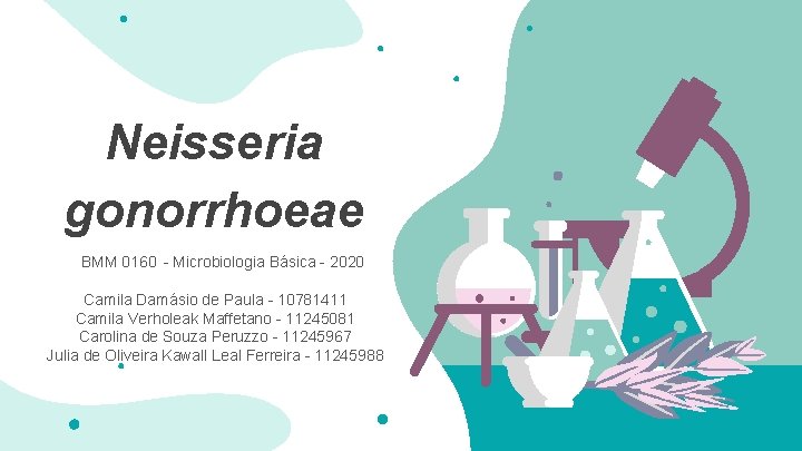 Neisseria gonorrhoeae BMM 0160 - Microbiologia Básica - 2020 Camila Damásio de Paula -