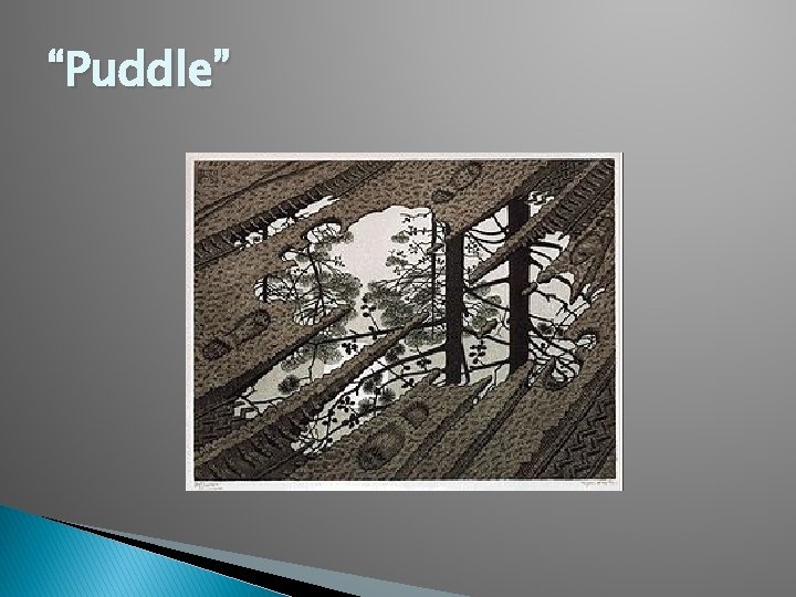 “Puddle” 