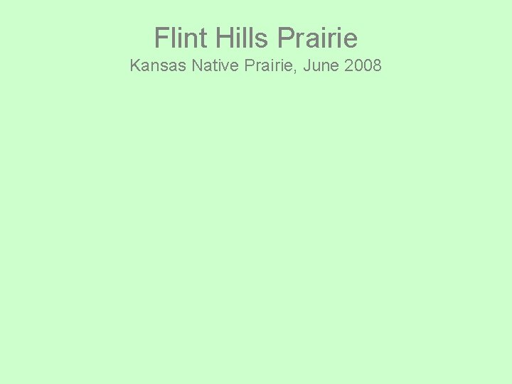 Flint Hills Prairie Kansas Native Prairie, June 2008 